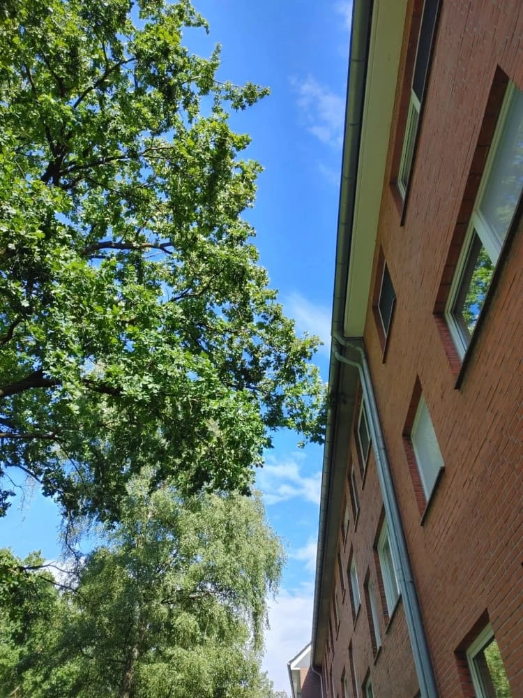 Vorher