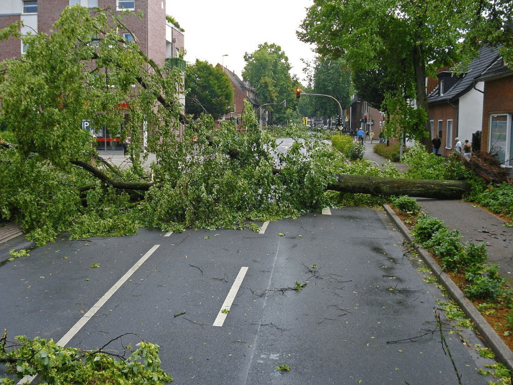 Sturmschaden an einer Straße